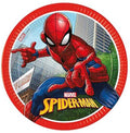 Örümcek Adam Spiderman Temalı Karton Tabak
