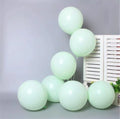 Mint Makaron Renk 12 Adet