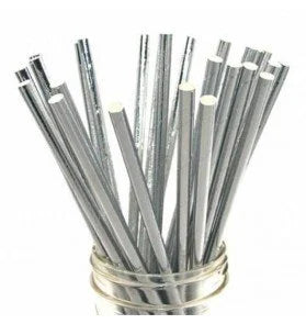 Kağıt Pipet Gümüş 24 Adet