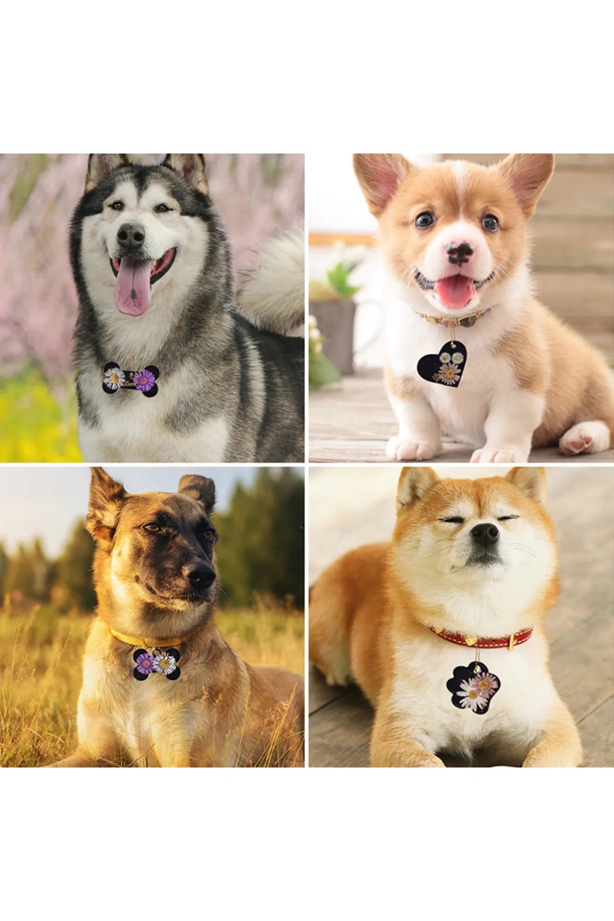 Epoksi Kedi Köpek Pati Tasma Silikon Epoksi Kalıbı